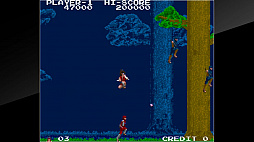 アーケードアーカイブス 影の伝説