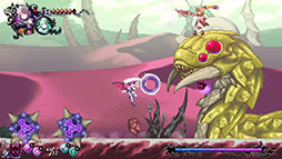 ꡼ No.005 | ֥ࡦǥ ȡ֡פо줹ŨⲦʥⲦפξ󤬸