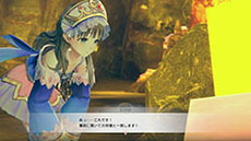 ꡼ No.011 | ֹȤϣѻΤμ 쥹ꥢʤΥȥꥨס饤о쥭餿Ĵ祷ƥʤɤξ󤬸