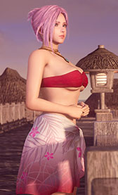 ꡼ No.009 | Venus Vacation PRISMפΥॵ뤬ˡ̿ƤϹޤϤ󡤥ܥϪ̤ʤɤĴǤܳŪʤΤ