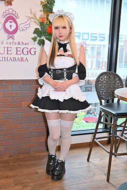 ꡼ No.023 | ոΥᥤɥեˤԤäƤޡADVVenus Vacation PRISMסDOAXVVץڡ󻲲å