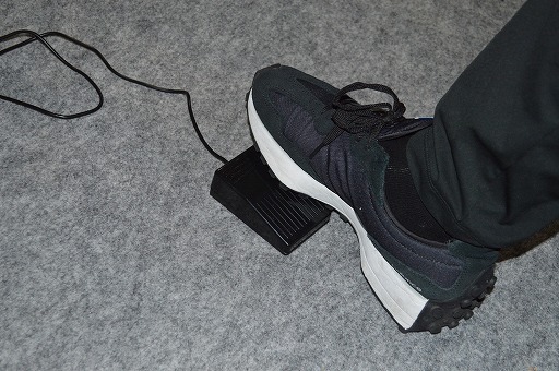 ꡼ No.004 | Ƨɤ롩ؤĤꤽˤʤȯʪΥߥ졼󥲡PIAץץ쥤ݡȡTGS2024