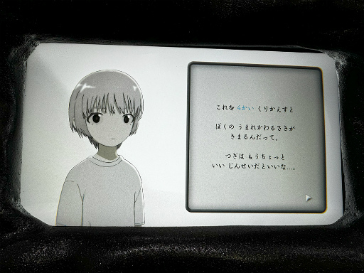 ꡼ No.003 | ʤϵߤ롩1ܤǻΤ褬ޤ롤奢ɥꥢʥѥ륲ֻҤɤ⤿׻ͷݡȡTGS2024