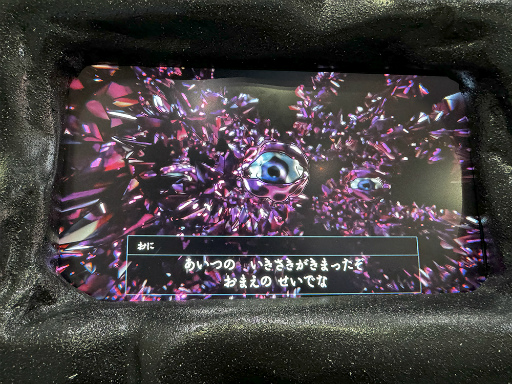 ꡼ No.010 | ʤϵߤ롩1ܤǻΤ褬ޤ롤奢ɥꥢʥѥ륲ֻҤɤ⤿׻ͷݡȡTGS2024