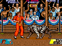 アーケードアーカイブス バイオレンスファイト