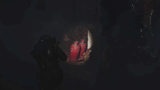 ꡼ No.027Υͥ / Υץ쥤ݡϿХХۥ顼Cronos: The New DawnפϹ٤롣̥ϤǤꡤ̤ãȰȴ̣廊