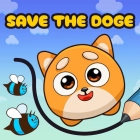 �ѥå�����