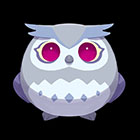 �ѥå�����