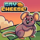 �ѥå�����