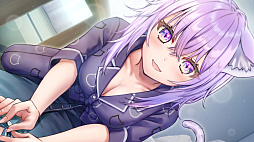 ꡼ No.008 | PCǡ֤ˤࡪסSteam8141200ۿϡǭ椵λȤʤꡤšǰADV