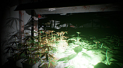 サバイブ：遺忘の地 Survive: Forgotten and Abandoned