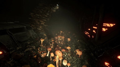 ꡼ No.006 | ХХۥ顼ANIMAL USE PROTOCOLס2026ǯ꡼򥢥ʥ󥹡͸ϥݥץӤ¸ѥѥ󥸡