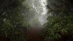 画像ギャラリー No.002のサムネイル画像 / 見知らぬ森からの脱出を目指す,8番出口ライクのADV「TheLostWoods / 迷いの森」2025年1月にSteamでリリース