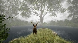 画像ギャラリー No.003のサムネイル画像 / 見知らぬ森からの脱出を目指す,8番出口ライクのADV「TheLostWoods / 迷いの森」2025年1月にSteamでリリース