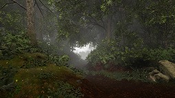 画像ギャラリー No.004のサムネイル画像 / 見知らぬ森からの脱出を目指す,8番出口ライクのADV「TheLostWoods / 迷いの森」2025年1月にSteamでリリース