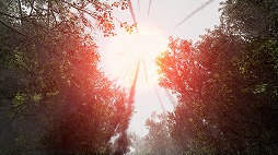 画像ギャラリー No.005のサムネイル画像 / 見知らぬ森からの脱出を目指す,8番出口ライクのADV「TheLostWoods / 迷いの森」2025年1月にSteamでリリース