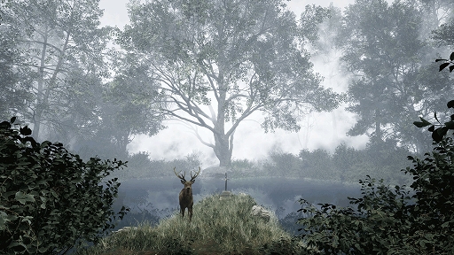 ���������꡼ No.002�Υ���ͥ������ / ���ޤ��ޤʰ��Ѥ������뿹�����æ�Ф��ܻؤ�����TheLostWoods / �¤��ο��ס�Steam���ۿ�����