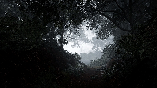 ���������꡼ No.004�Υ���ͥ������ / ���ޤ��ޤʰ��Ѥ������뿹�����æ�Ф��ܻؤ�����TheLostWoods / �¤��ο��ס�Steam���ۿ�����