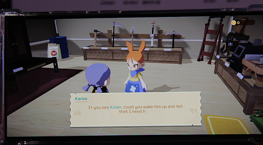 ���������꡼ No.016�Υ���ͥ������ / �������ȥ�ꥢ�μ������������˥��󥹥ѥ������줿����եȷϥ������Dinkum Together�פ�̤�Τ�����󤷤褦��G-STAR 2024��