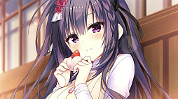 ���쥯�ȥ��֥꡼����