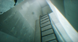 ꡼ No.008 | Ե̣ǥꥢʶ֤νиõߥʥ륹ڡõ˥󥹥ѥ줿LIMSCAPEסǥǤSteamۿ