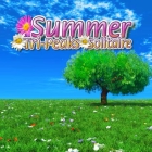 �ѥå�����