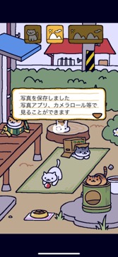 ���������꡼ No.006�Υ���ͥ������ / �ͤ��򽸤�ư��Ǥ褦��������ץ�İ������ַϥ�����֤ͤ����Ĥ�ܡסʺ�������Ϥ��Apple Arcade #18��