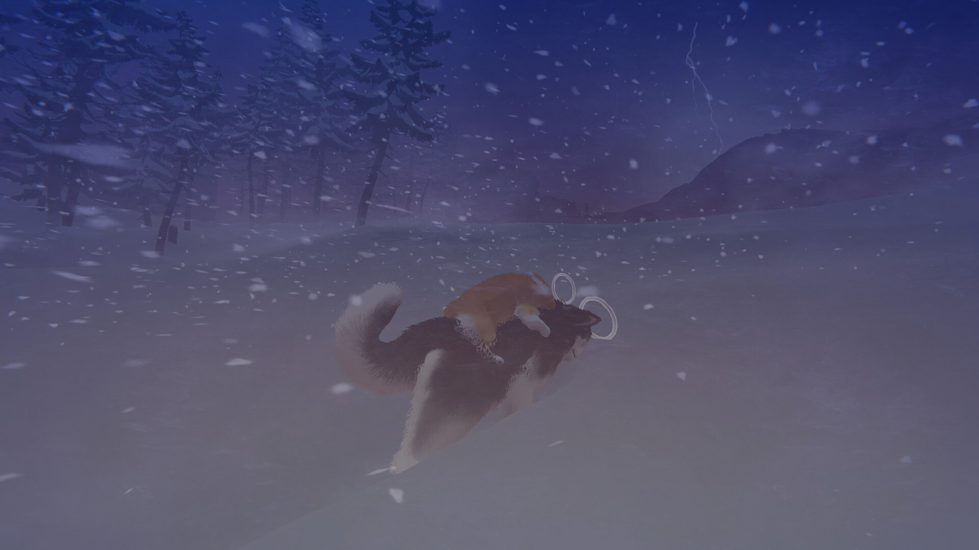 ꡼ No.006 | ŷ񤫤ӽФǤѥѤޤ˹Ԥʪ졣My Little PuppyסSteam117꡼