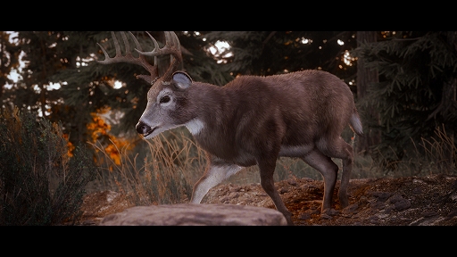 ���������꡼ No.003�Υ���ͥ������ / �ϥ�ƥ��󥰥���ǿ����Hunting Simulator 3�פγ�ȯ�򥢥ʥ��󥹡�������ɤΥ��å�����̮����ƥ����������𸶤ޤǤ򥪡��ץ���ɲ�