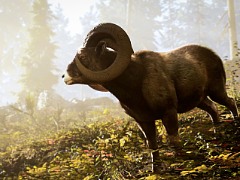 コロラドからテキサスまで広がる広大な大自然で，相棒の猟犬と狩猟に挑む。「Hunting Simulator 3」，配信開始