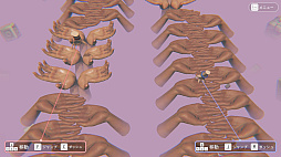 ꡼ No.005 | μǥΤ줾μ饤󥲡ֻФȼоˤĤƤβס򳫻