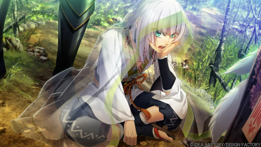 ꡼ No.013Υͥ / Υץ쥤ݡϡ׷̾ȥȥᥤ եƥɤɤ롪뵴Ȥֽ for Nintendo Switch