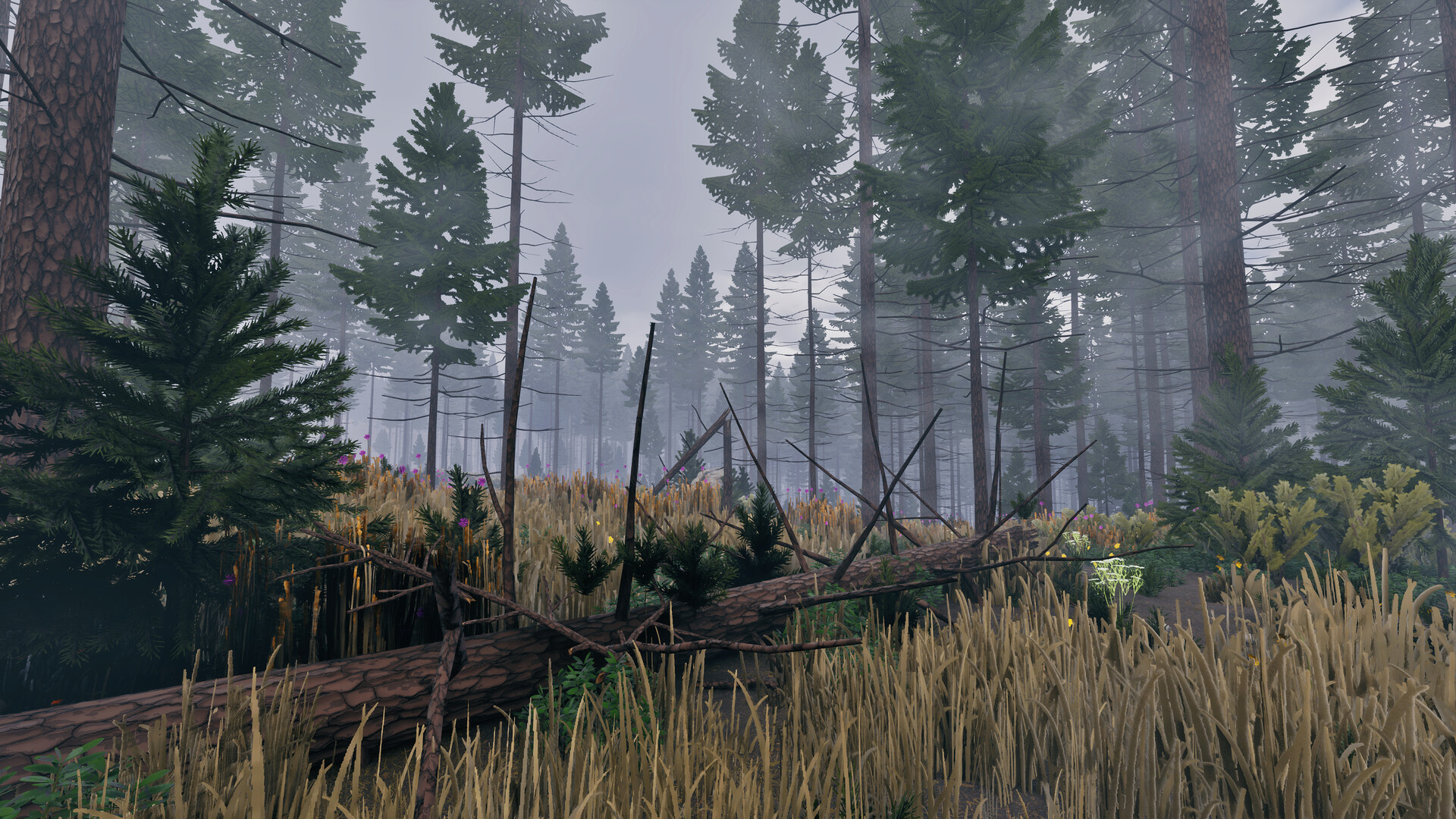 ꡼ No.013 | PC Prologue: Go Wayback!