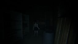 ���������꡼ No.004�Υ���ͥ������ / �����Υ��硼�ȥۥ顼ư��Τ褦���θ����Ǥ����Nightfall House�ס��ۿ����ϡ��Ȥ�õ�����Ƥ��뤦���ˡ������θ���̣�廊��