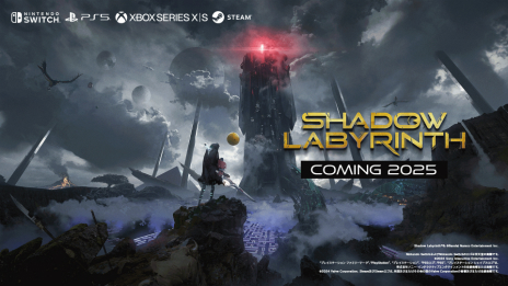 ���������꡼ No.006�Υ���ͥ������ / �ѥå��ޥ��ơ��ޤˤ����������ʲ����������륢��������Shadow Labyrinth�פ�2025ǯ��ȯ�����