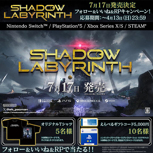 ꡼ No.019 | ѥåޥΰҤɤõ2D󥲡Shadow Labyrinthס717ȯ