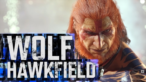 New VIRTUA FIGHTERProject աۡե ƥ ȥ졼顼