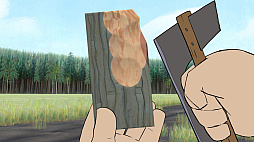 Pine: �Ӽ���ʪ��