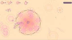 �����륹�β�