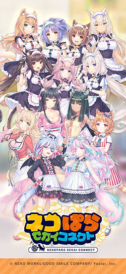 ꡼ No.001 | ͥѤ ͥ