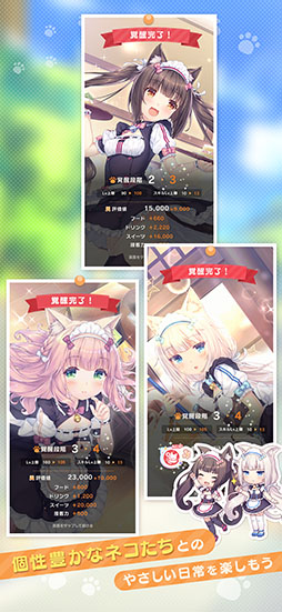 ꡼ No.004 | ͥѤ ͥ