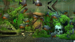 ���������꡼ No.006�Υ���ͥ������ / ������������Behind Glass: Aquarium Simulator�ס�Steam��������꡼����15�󥪥ե����뤬������