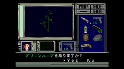 BIOHAZARD Director’s Cut