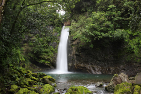 ���������꡼ No.017�Υ���ͥ������ / ���縩�ΤĤ뤮Į�������RPG�֥ĥ륮�����ס����ޥ۸����˥�꡼�����Ĥ뤮Į��������������ʸ�����������ϰ���������ܻؤ�