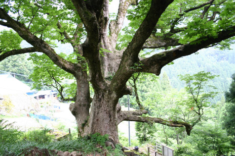 ���������꡼ No.019�Υ���ͥ������ / ���縩�ΤĤ뤮Į�������RPG�֥ĥ륮�����ס����ޥ۸����˥�꡼�����Ĥ뤮Į��������������ʸ�����������ϰ���������ܻؤ�