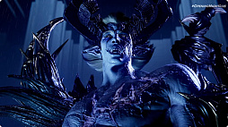 ꡼ No.007 | NINJA GAIDEN 4פκǿ͸Υ奦ϥ֥ȥ䥯⡤ΩϤ붯ŨȤλƮϿ