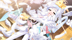 ꡼ No.004 | 楿 -Kiss on my Deity-