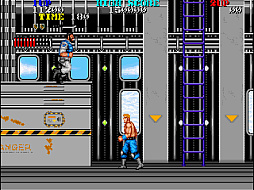 ���������꡼ No.005�Υ���ͥ������ / �֥��������ɥ��������֥� ��������ե��å����ס�1��30���ۿ�������ȥ����ס������ƥࡤ3����ξ��ʪ���Ȥ��ƥƥ��ꥹ�Ȥ�ĩ��