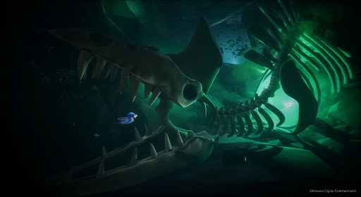 ꡼ No.015 | ͸Ѥʥ󥢥ɥ٥㡼Darwin's Paradox!פȯɽˡ2025ǯ꡼ͽ