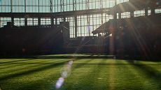 ꡼ No.013 | Ѽ󤬥ԥå󥰤Ϫ֥ץRISING׿TVCMֶ夬졢Ӥ